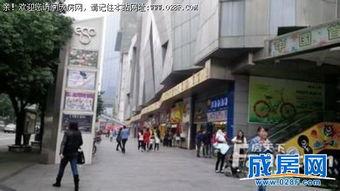 成都港的最新爆料,揭秘港口发展新动向与未来蓝图 第3张 成都港的最新爆料,揭秘港口发展新动向与未来蓝图 第3张